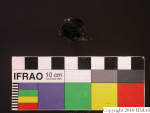 L_V23d3929 J4q99.1 U912 dM la f46